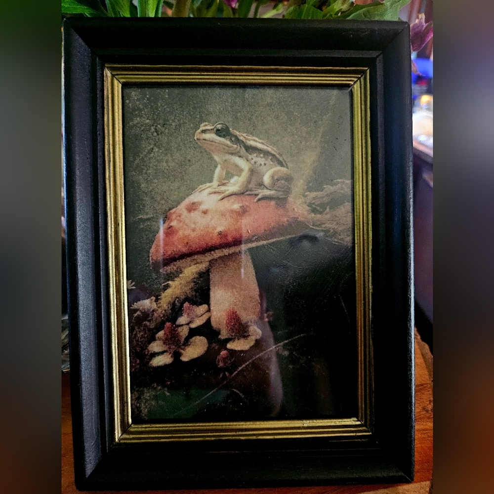 Vintage Wood & Metal Frame W/ Moody Frog & Mushroom Art Print 8" x 6"